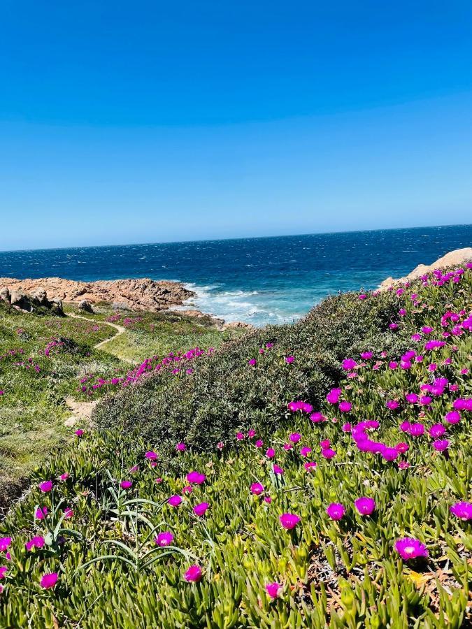 Zaffiro Casa Vacanze Al Mare فاليدوريا المظهر الخارجي الصورة