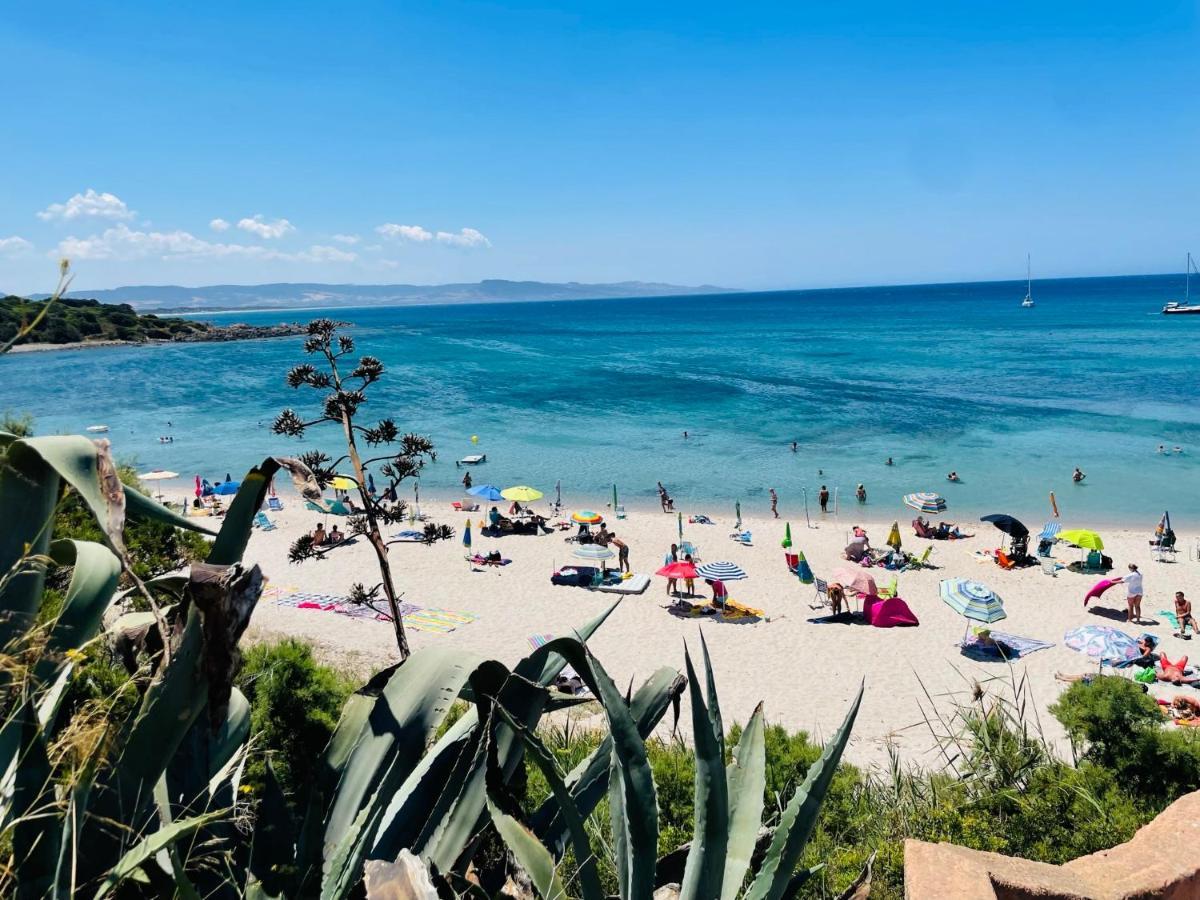 Zaffiro Casa Vacanze Al Mare فاليدوريا المظهر الخارجي الصورة