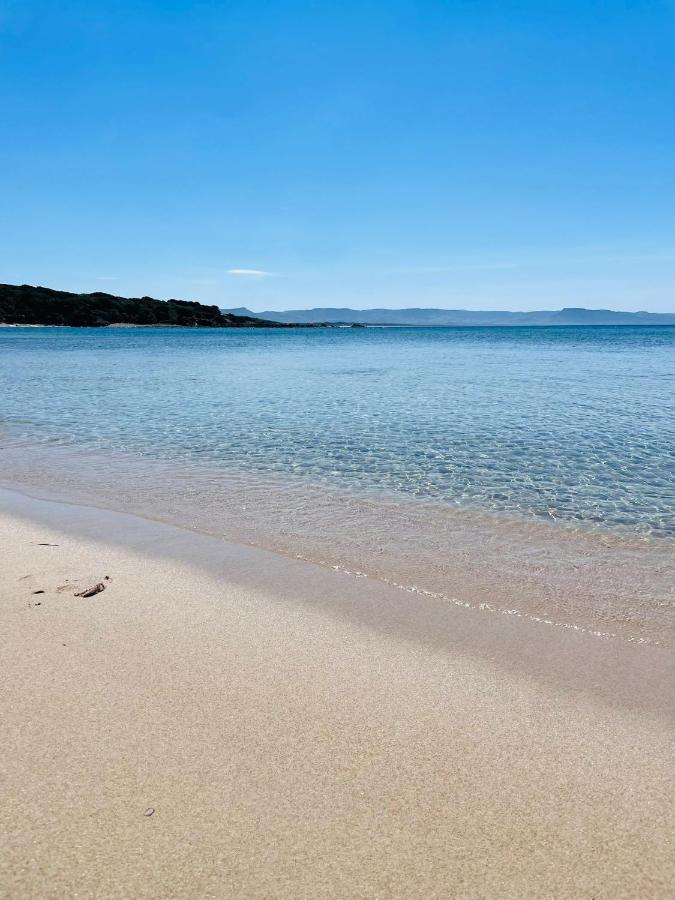 Zaffiro Casa Vacanze Al Mare فاليدوريا المظهر الخارجي الصورة